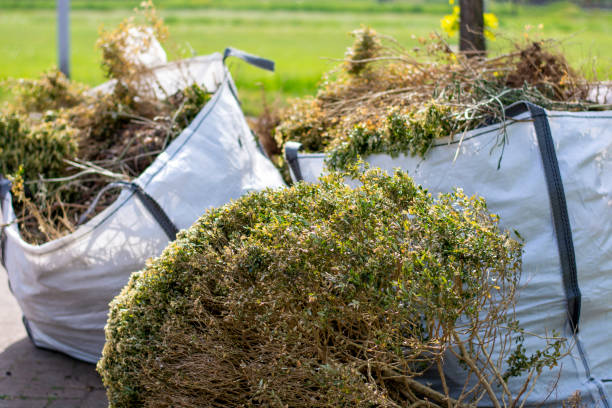 Best Furniture Removal  in Mccla, AL